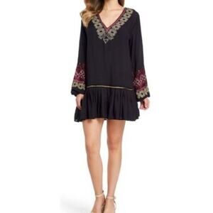 Free People Wild One Pleasant Midi Long Sleeve Embroidered Drop Waist Dress
